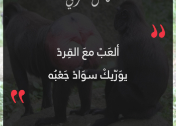 ألعب مع القرد