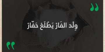 ولد الفار يطلع حفار